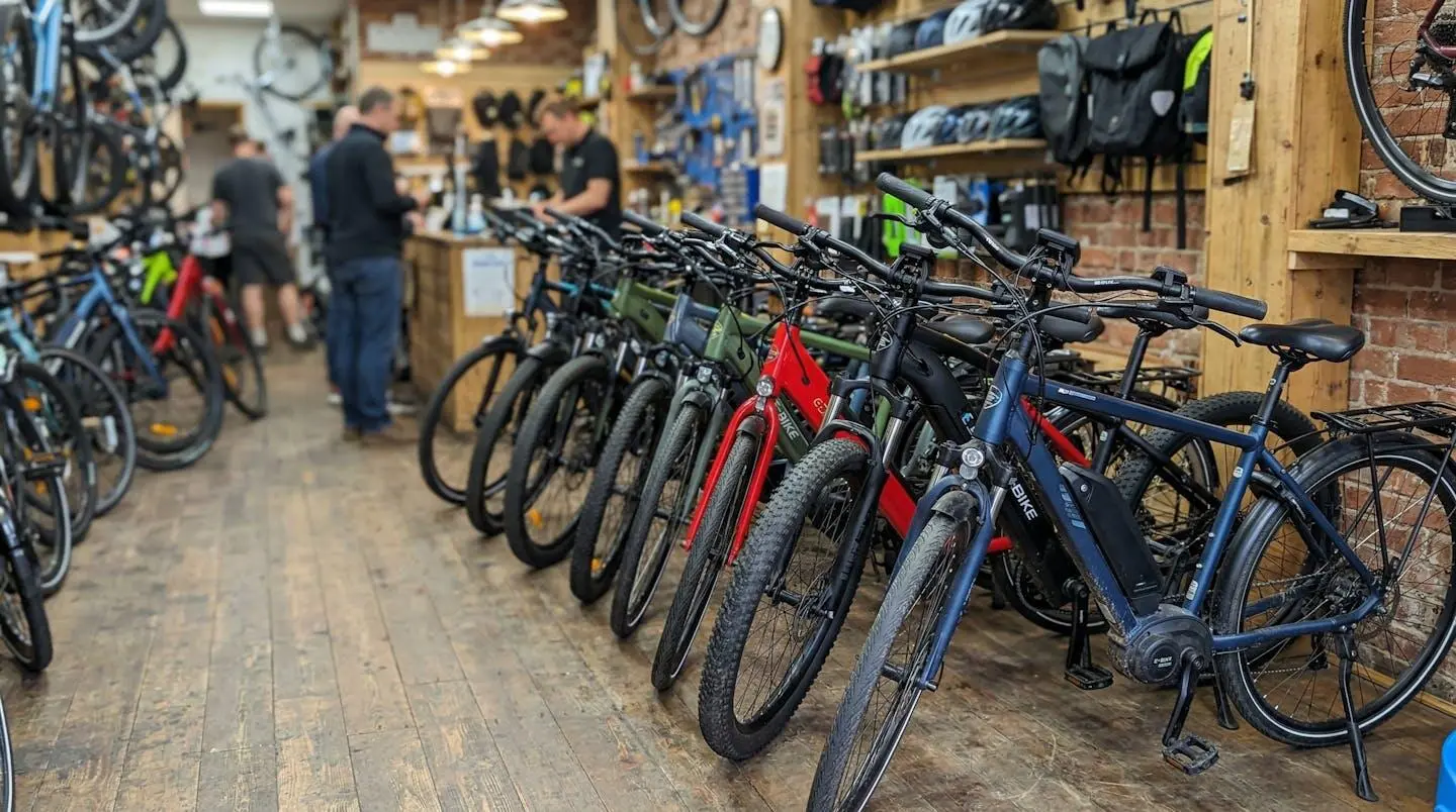 Plusieurs vélos électriques de différentes couleurs alignés dans un espace de vente lumineux